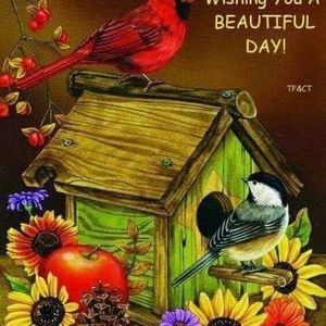 Meet your Posher, Brenda